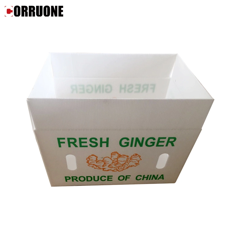 Custom Foldable PP Corflute Plastic Corrugated Box Packaging Corrugated